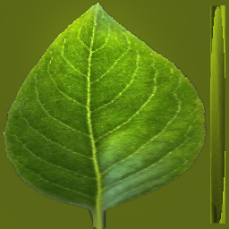 hoja naranja 2.jpg