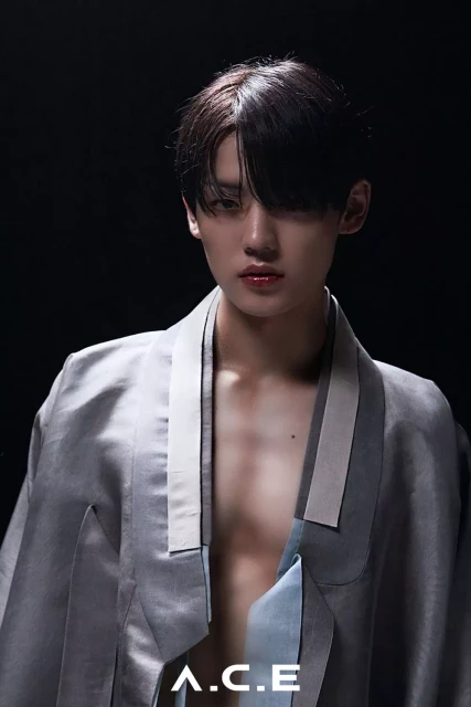 chan a c e 1107336.webp