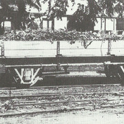 wagon malta