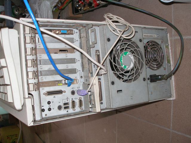 P8170001.jpg