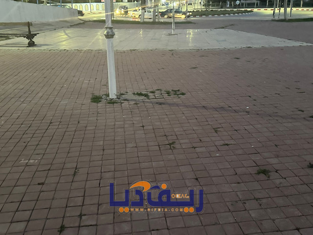 Photo 1774467874728