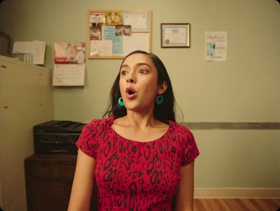 Four Samosas Screenshot
