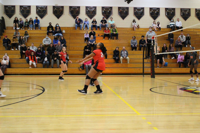IMG-0028