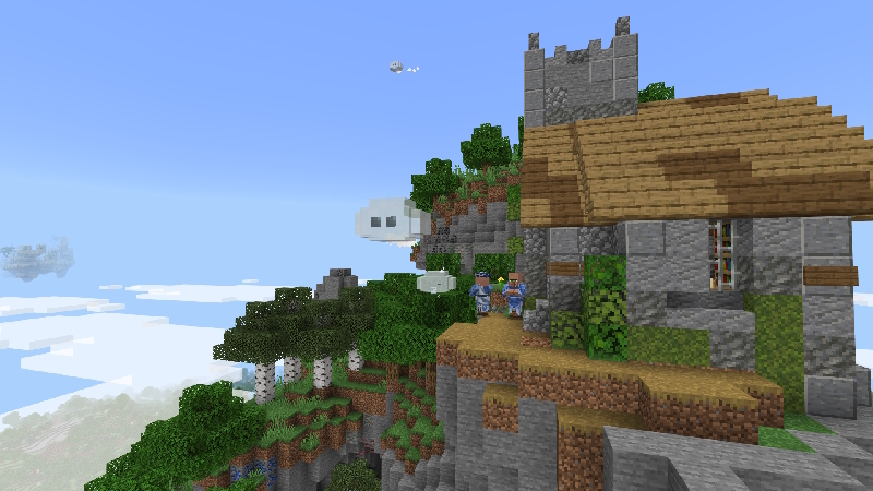 Image 10