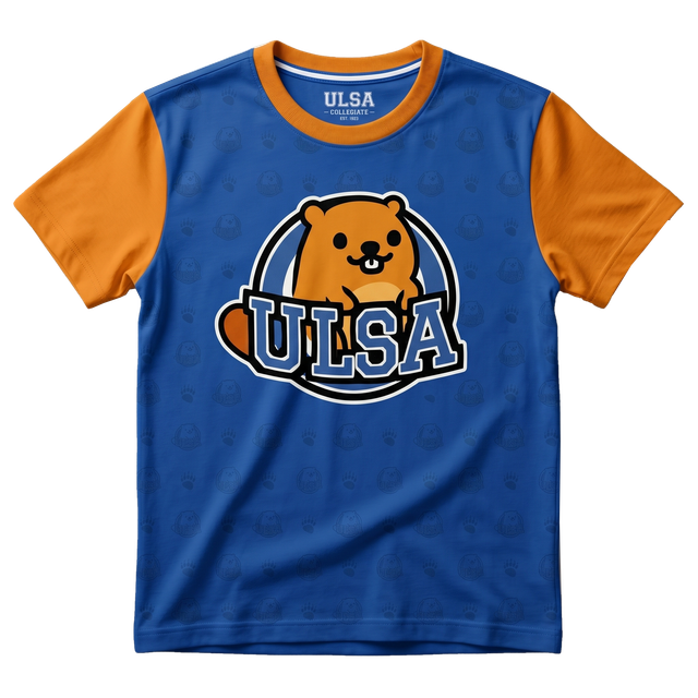 blueorangeshirt.png