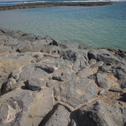 DSC01031