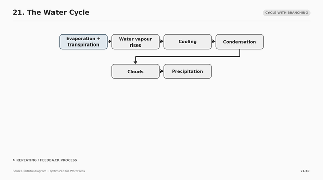 21 the water cycle.png
