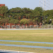 IMG 0108