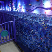 DSC00033