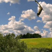 b96cdaaf454c11f1a77f864553cff6e7.gif