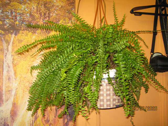 IMG 6412.jpg