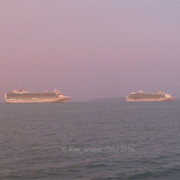 IMG-2648
