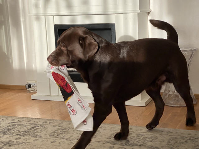 1-ECC4849-33-FE-4-C41-8-F52-03930-EC4-F9