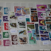 IMG-2563