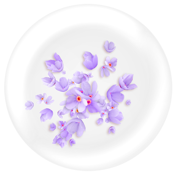 Early-Spring-Kit-47.png