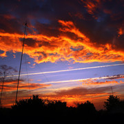 100a503040101m1