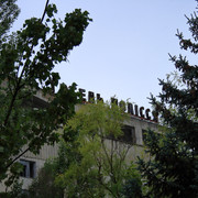 IMG-6005