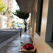 IMG-4097
