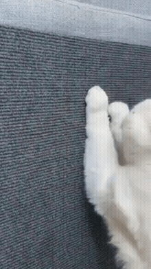 PawGuard aplicaci&oacute;n