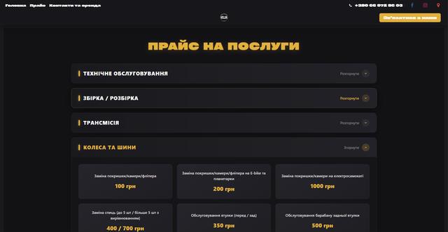 Website 2