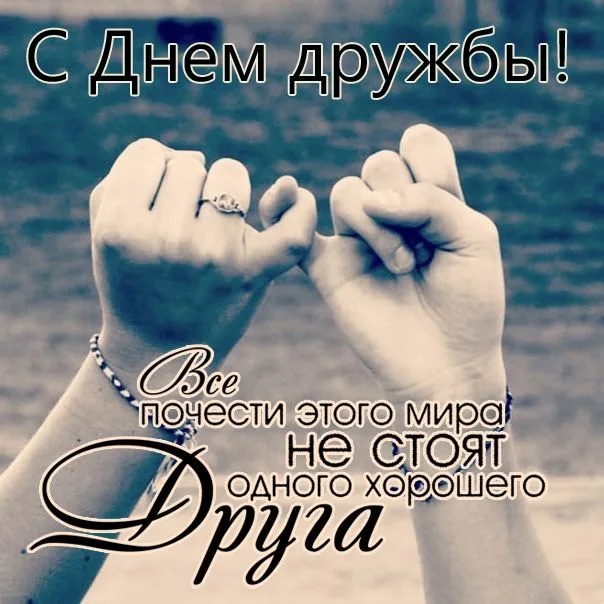 https://i.ibb.co/hJ33LZRG/IMG-0471.jpg