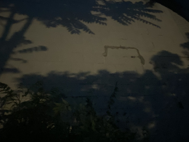 IMG 0436.jpg