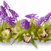 0-774eb-9c34ec4-L
