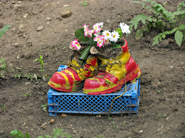 2010 год