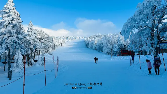 藏王树冰10.webp