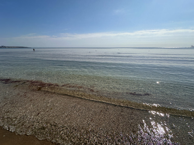 IMG 0375
