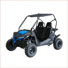 Buggy, 2-Seater, 196cc, Air Cooled