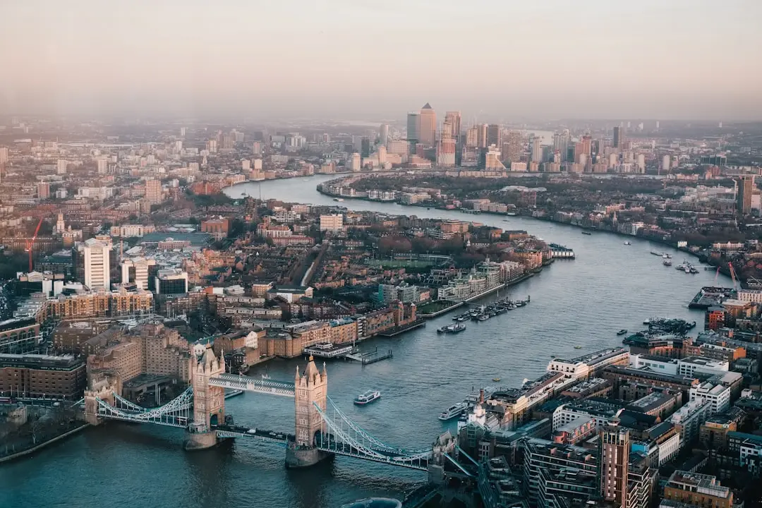 Londoners to Take the Plunge in the Thames