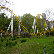 DSC09538
