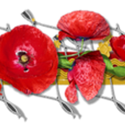 0-99189-b9da0502-M