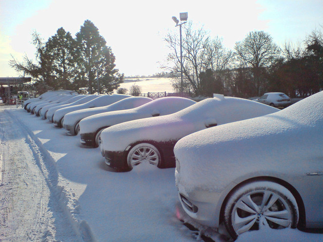 Snow2.jpg