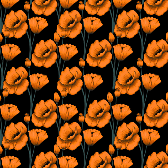15528.png