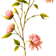 ff03fbe158cfe19fd52a357f6da3e8f4