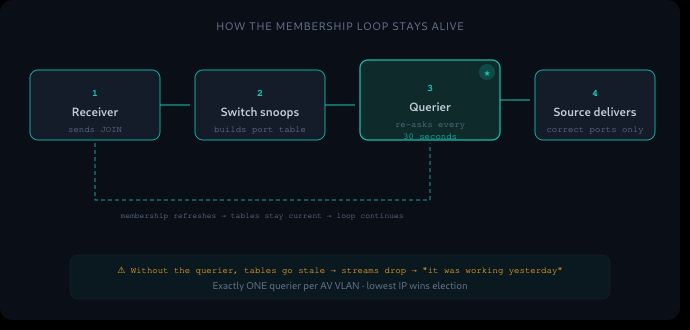 Querier / snooping loop diagram