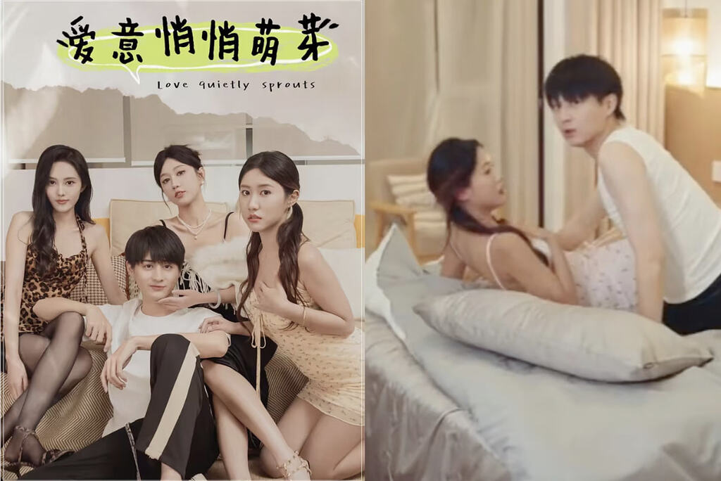 【擦短剧】热烈的爱情＆合租甜蜜物语＆重生之爱之梦幻曲&amp;共享屋檐下