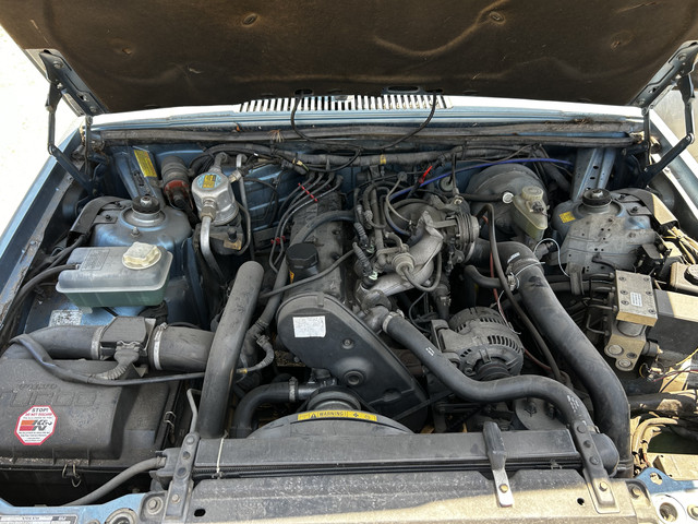 IMG 7272.jpg
