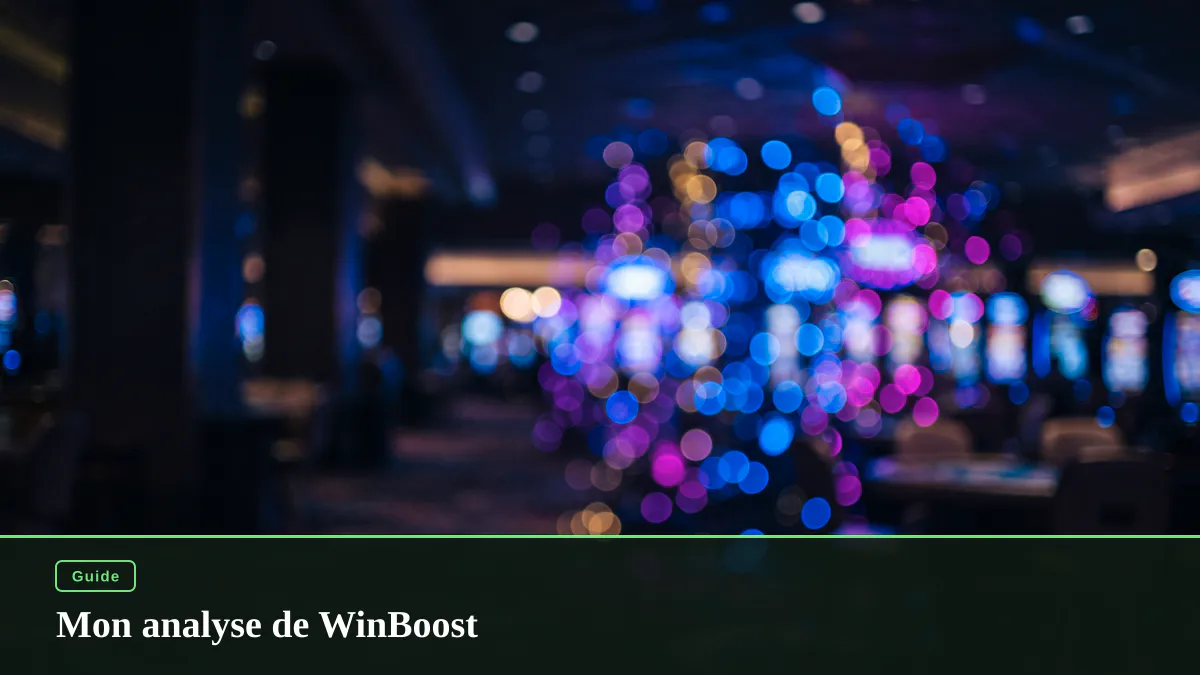Mon analyse de WinBoost