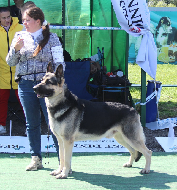 https://i.ibb.co/hJj71tQF/IMG-5998.jpg