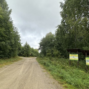 IMG 4530