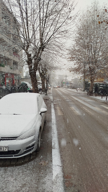 IMG-20251128-072908" border="0