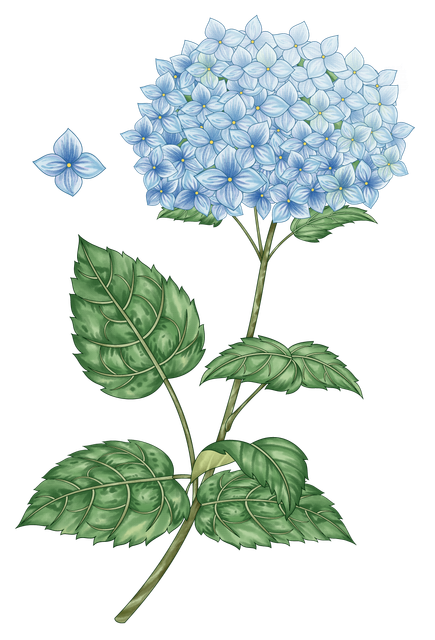 36.png