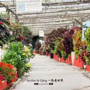 Big Red Strawberry Farm1