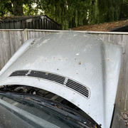 IMG 7730