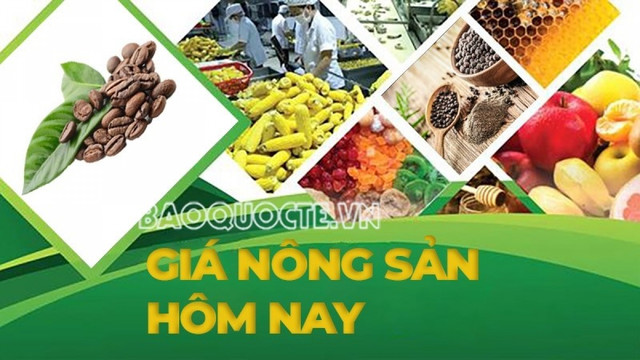 Giá cà phê hôm nay 2/7/2026: Arabica và Robusta đồng loạt vọt đỉnh