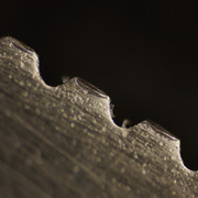DSC06901