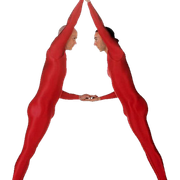 a (1)